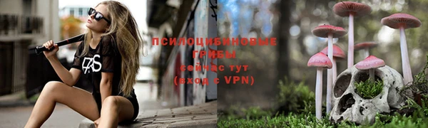 мескалин Алексеевка