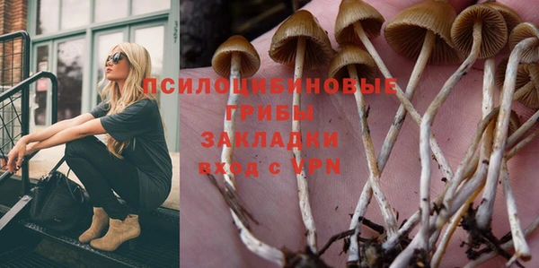 МДПВ Аркадак