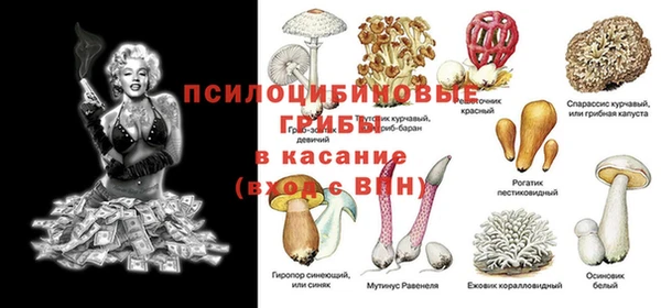 а пвп мука Алексин