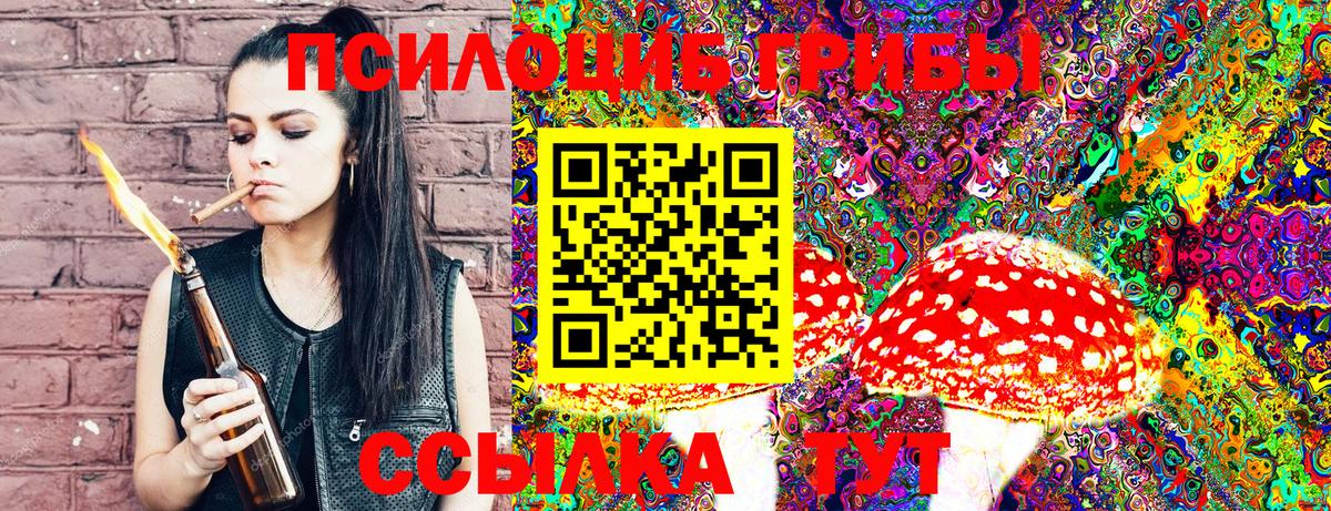 Галлюциногенные грибы Psilocybine cubensis  купить   Мытищи  Вход с VPN 